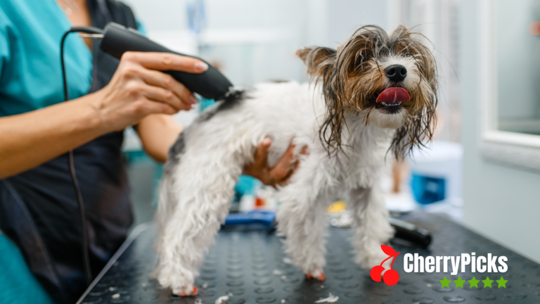 Dog Grooming Clippers