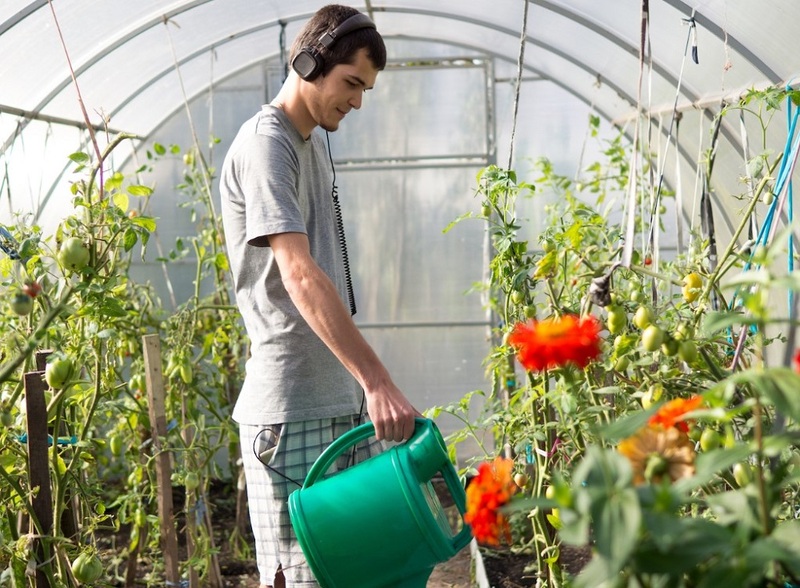 Gardening