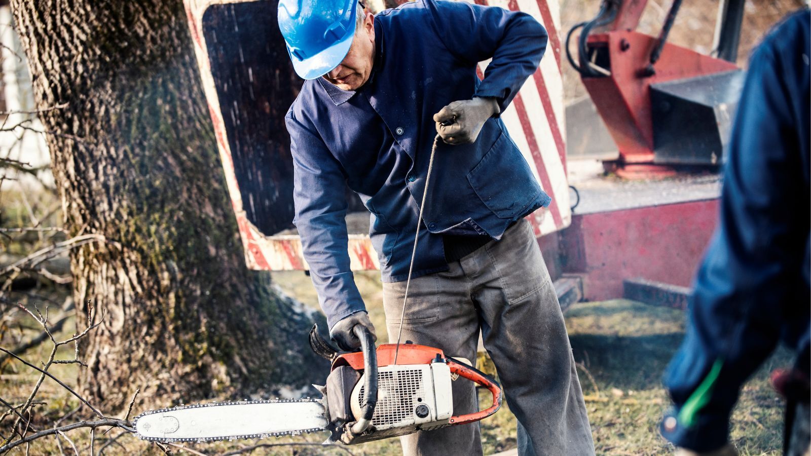 Chainsaw Won't Start After Sitting (Why + How to Fix)