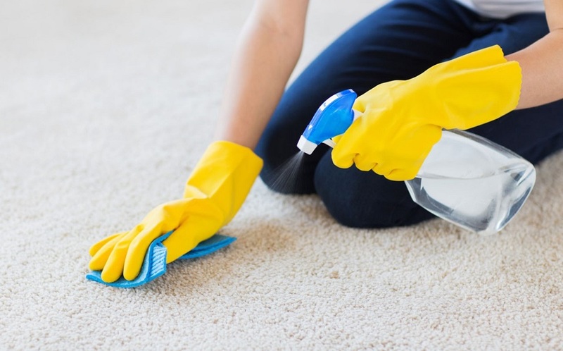 Cleaning The Carpet