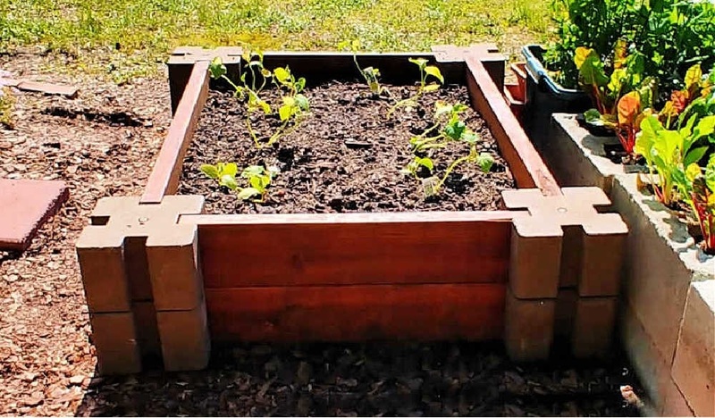 Raised Beds 12-inch