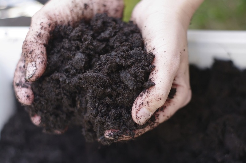 Garden Soil