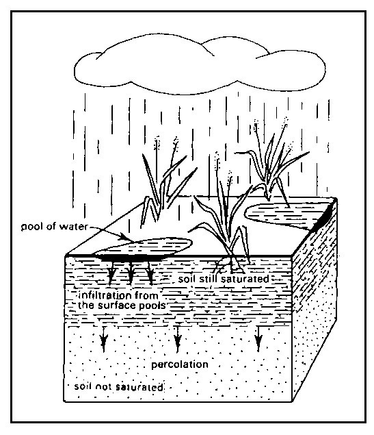 Drainage