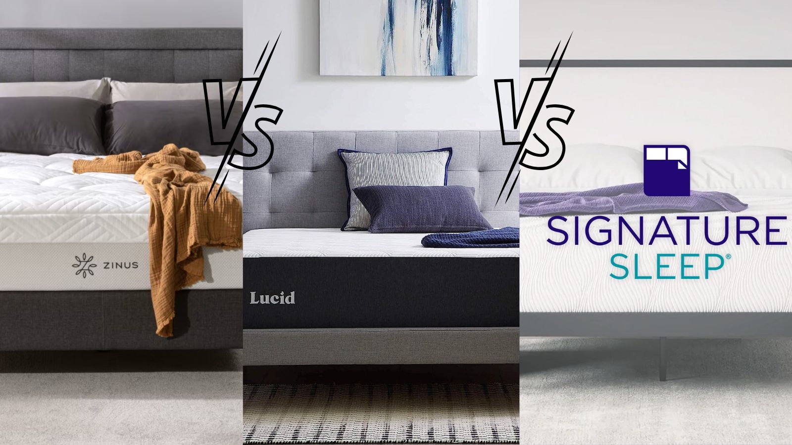 Zinus Vs Lucid Vs Signature Sleep Mattress