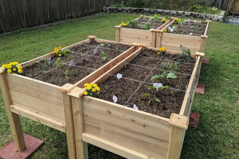 Raised Beds Location