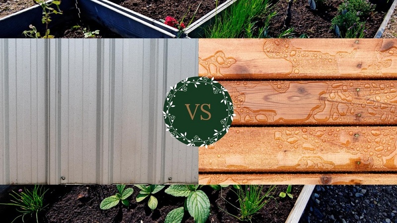 Metal Raised Garden Beds Vs. Wood Raised Garden Beds