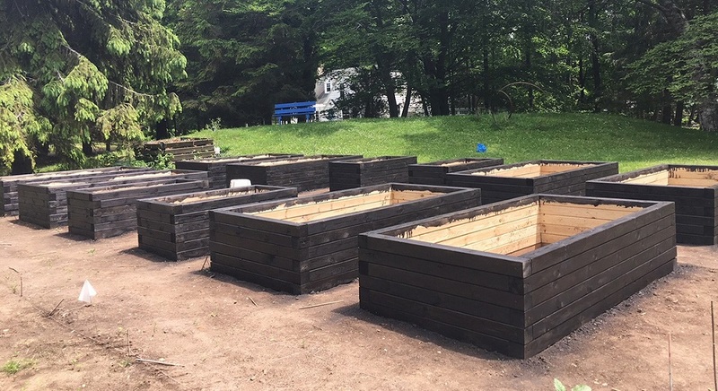 Wood Raised Garden Beds