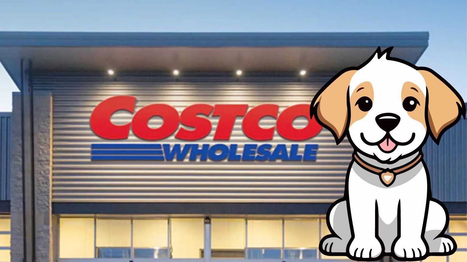 Are Dogs Allowed In Costco? (All You Need to Know)