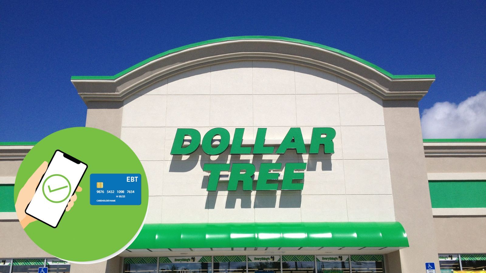 Does Dollar Tree Accept EBT? (All You Need to Know)