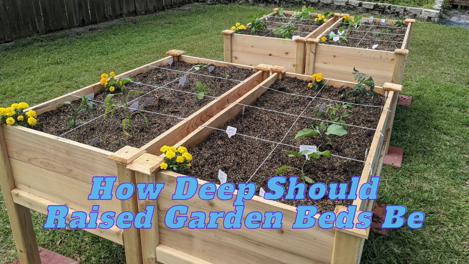 How Deep Should Raised Garden Beds Be?  (Adviced by Gardening Expert)