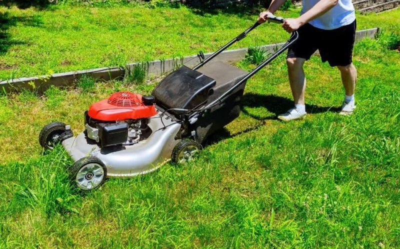 Honda Self Propelled Mower Slow Reasons