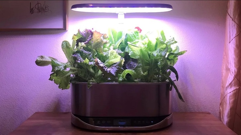 About AeroGarden