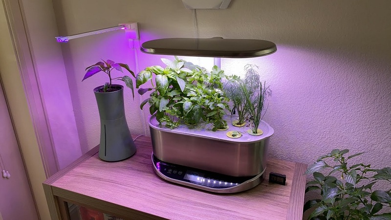 Buy AeroGarden