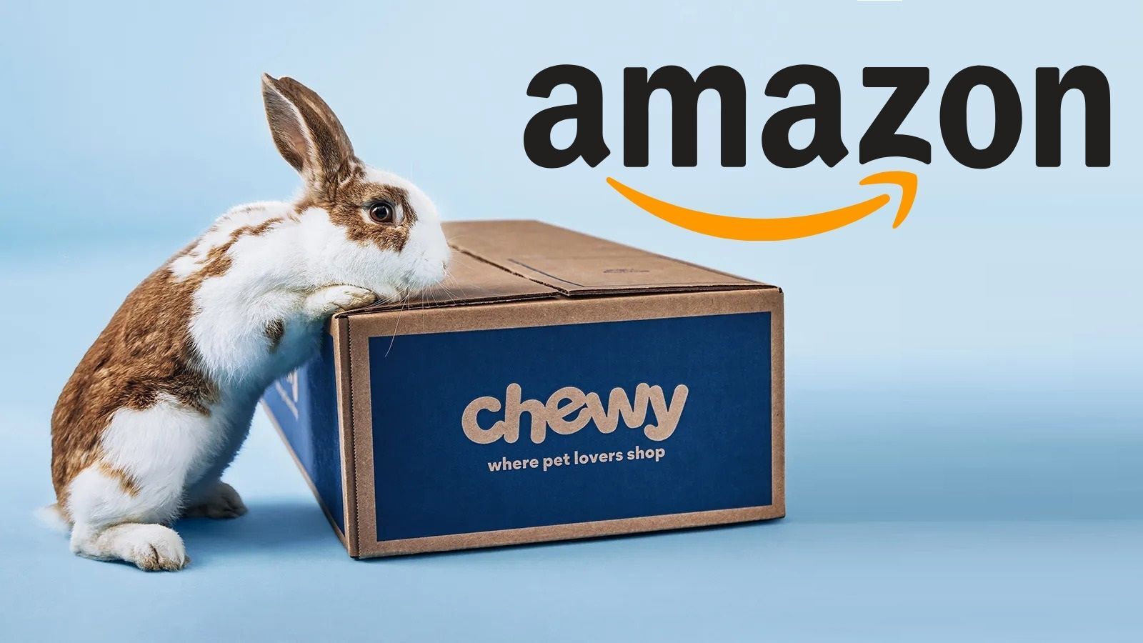 Does Amazon Own Chewy in 2024?